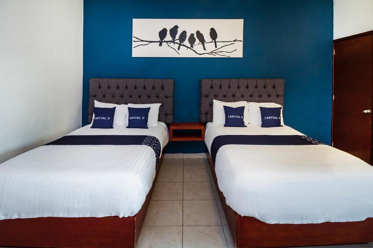 Hotel 522, פוארטו ואלארטה מראה חיצוני תמונה
